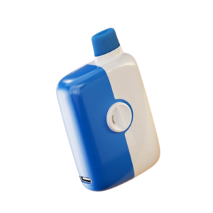 Blueberry Ice Mr Fog Switch 5500
