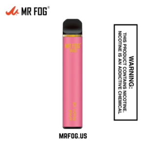 Apple Peach Ice Mr Fog Max 1000 Puffs
