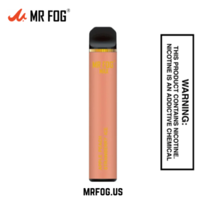 Apple Peach Strawberry Ice Mr Fog Max 1000 Puffs