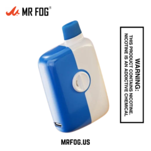Blueberry Ice Mr Fog Switch 5500