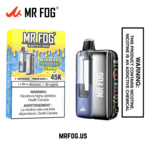 Blueberry Raspberry Lemon Mr Fog Switch 45000 Puffs Disposable Vape - Pods Kit