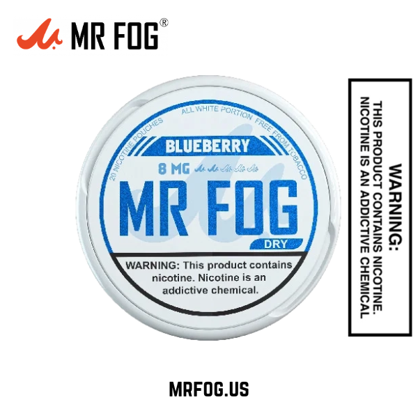 Dry Blueberry Mr Fog Nicotine Pouches