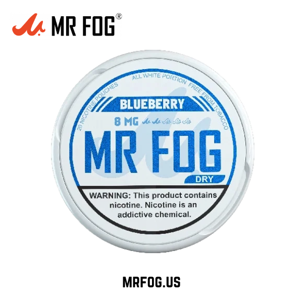 Dry Blueberry Mr Fog Nicotine Pouches