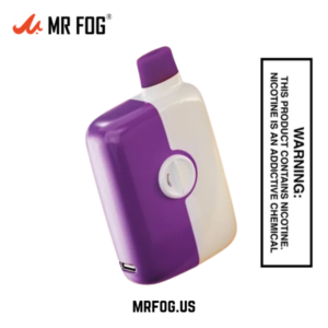Grape Ice Mr Fog Switch 5500