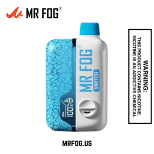 Blueberry Must Mr Fog Switch SW15000 Puffs