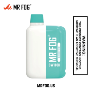 MR FOG SWITCH 5500 PUFFS BLUEBERRY KIWI