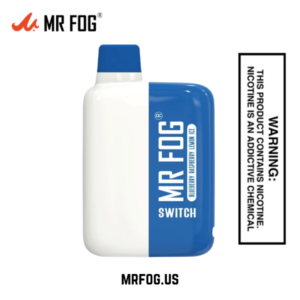 MR FOG SWITCH 5500 PUFFS BLUEBERRY RASPBERRY LEMON ICE