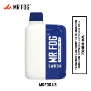 MR FOG SWITCH 5500 PUFFS PINEAPPLE BLUEBERRY KIWI ICE