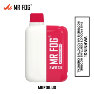MR FOG SWITCH 5500 PUFFS WATERMELON BUBBLE GANG ICE