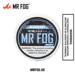 Moist Blueberry Mr Fog Nicotine Pouches