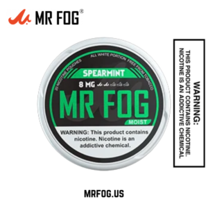 Moist Spearmint Mr Fog Nicotine Pouches