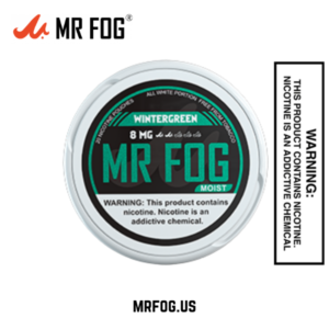 Moist Wintergreen Mr Fog Nicotine Pouches