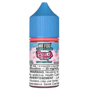 Raspberry Mr Fog Blue Razz Steezy Salt