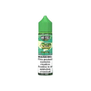 Spearmint Mr Fog E Liquid Mint Steezy Series Vape