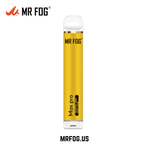 Raspberry Grape Black Currant Mr Fog Max Pro 2000