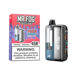 Peach Berry Mr Fog Switch 45000 Pods Kit