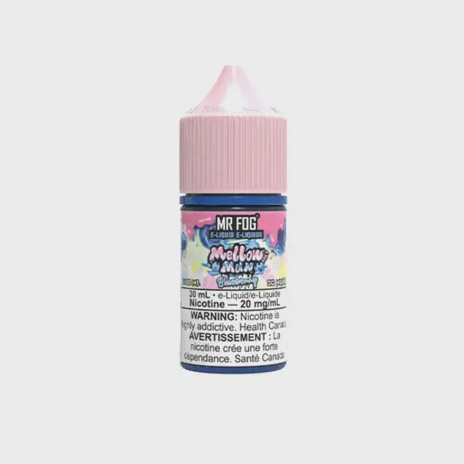 Blueberry Mr Fog Mellow Man Salt